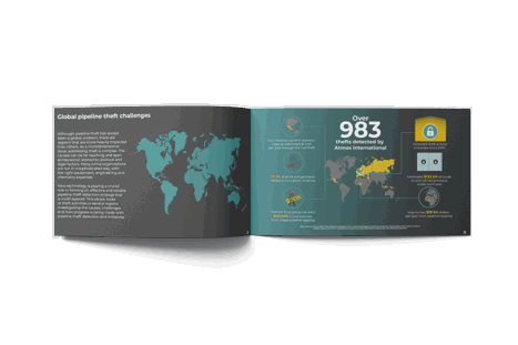 Global theft ebook opened mockup