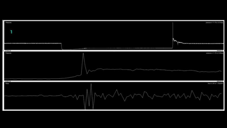 Transient Monitoring