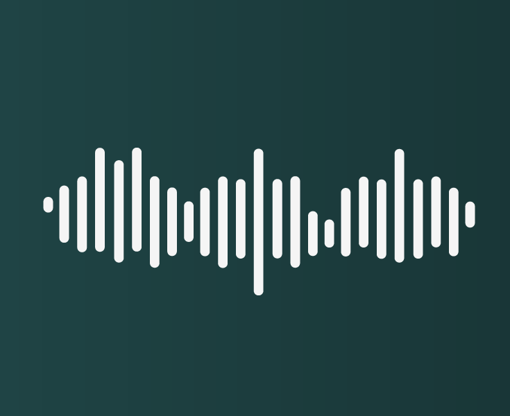 Acoustic correlation